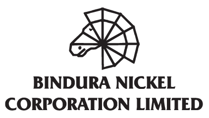 Bindura Nickel Corp raises red flag