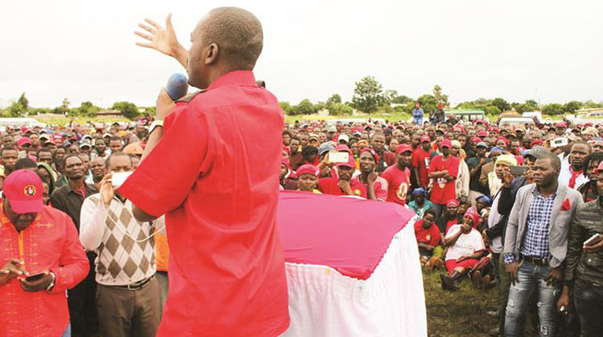 MDC Alliance candidate on the run