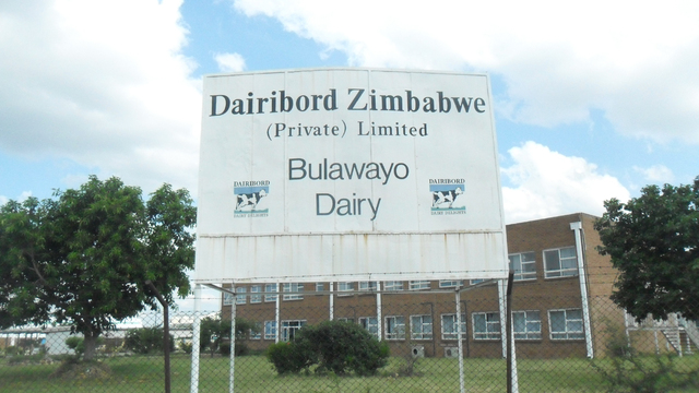 Sachikonye appointed Dairibord chairperson 