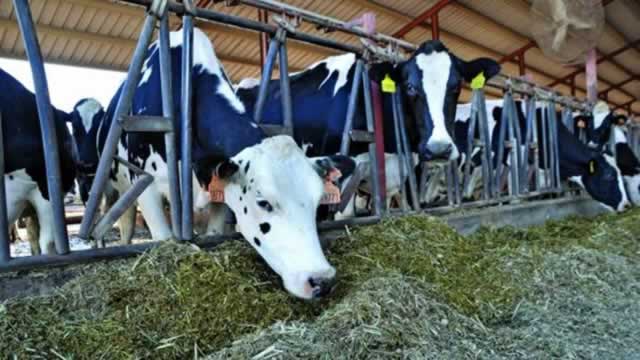 Stock-feed producers brace for shortages