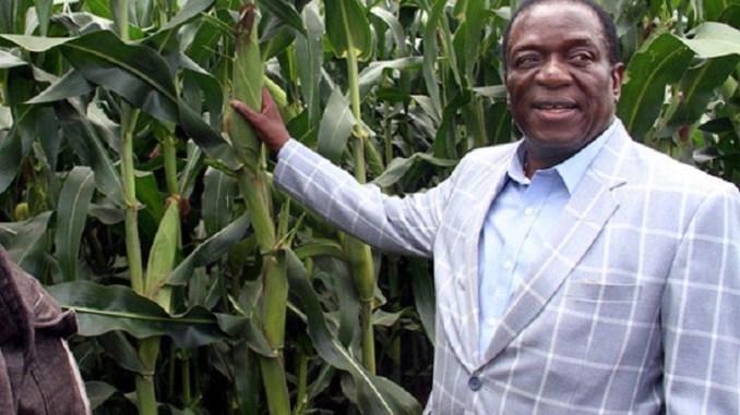 Mnangagwa's aide in farm boundary dispute