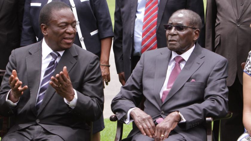 Mugabe will not vote for Mnangagwa