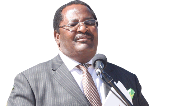 Parliament exposes Obert Mpofu