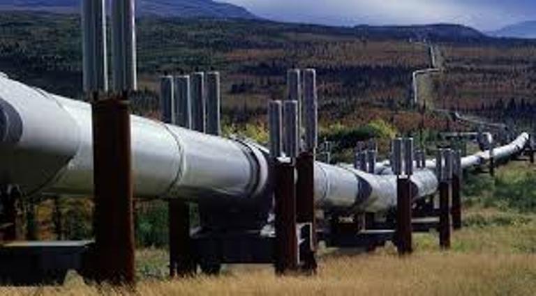 Zim shelves Botswana pipeline sharing deal