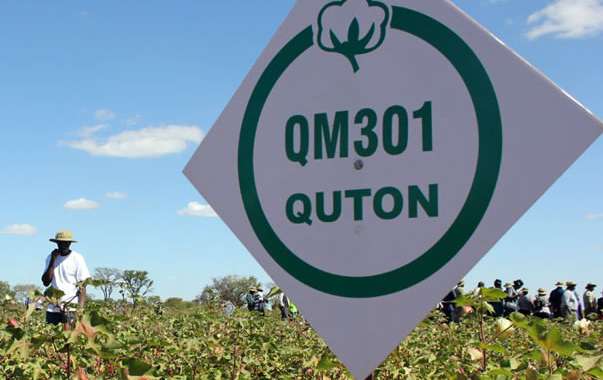 Quton releases new cotton hybrid seed