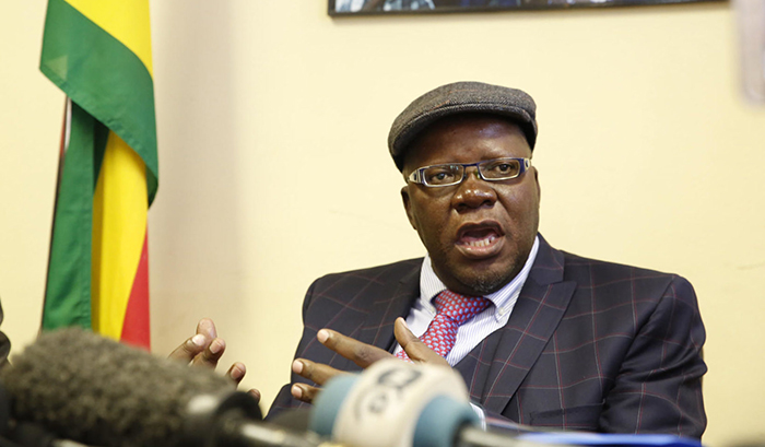Biti is a clever lawyer - but no match for Mthuli in the economic sphere