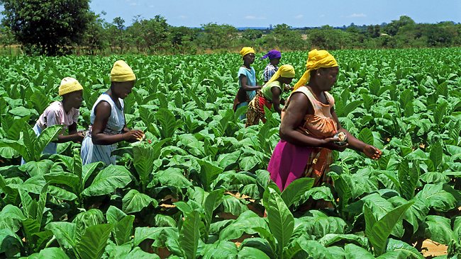 Lack of funds affecting agriculture operations