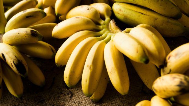 Zimbabwe trebles banana production