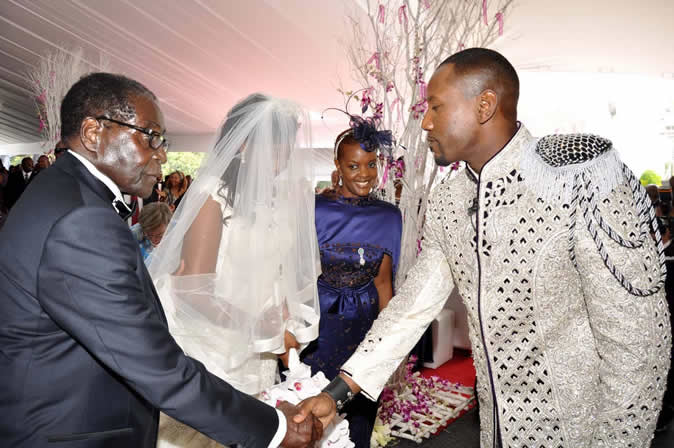 Mugabe son-in-law joins political fray