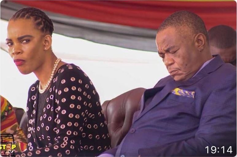 Govt's 100-day cycle a success, says Chiwenga