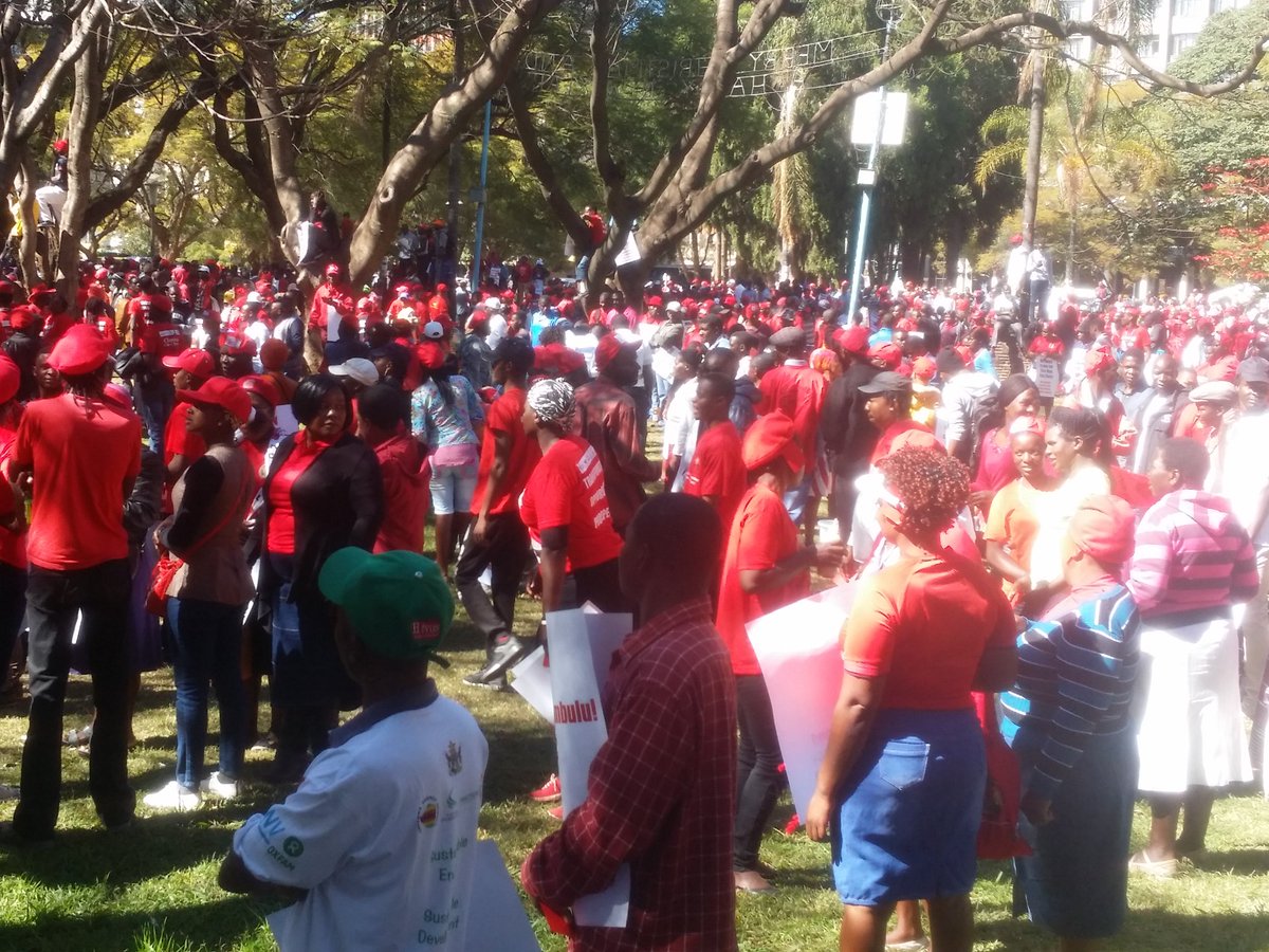 'We're tired of Zanu-PF machinations'