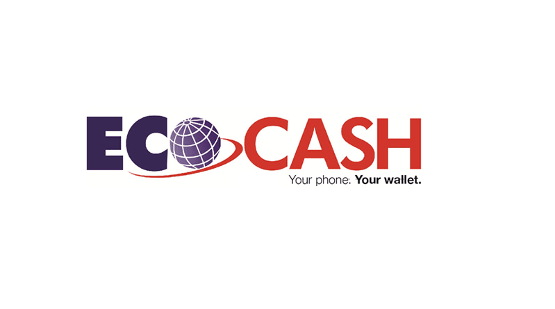 Zesa under fire over EcoCash purchases