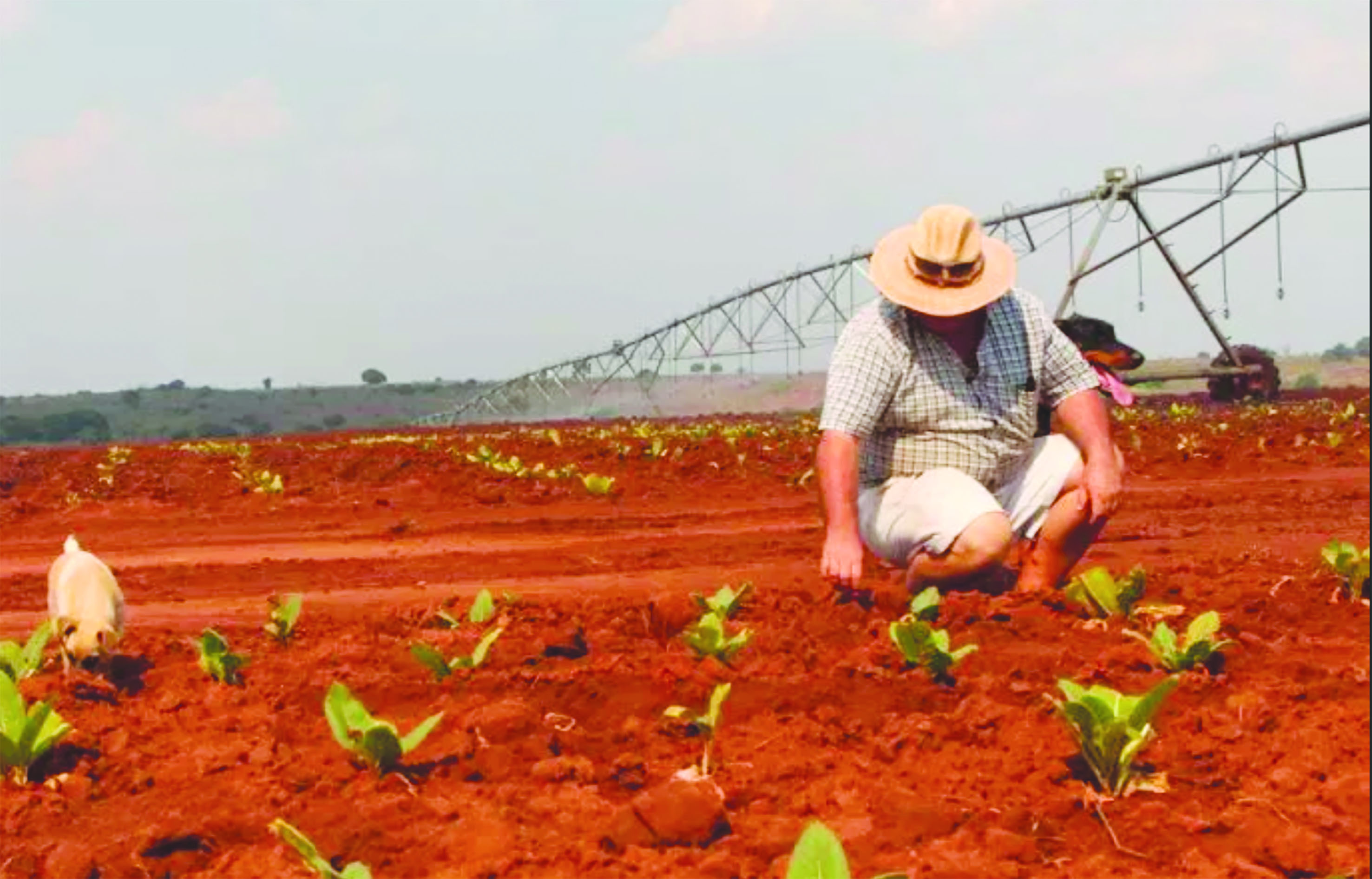 Lifeline for white Zimbabwean farmers
