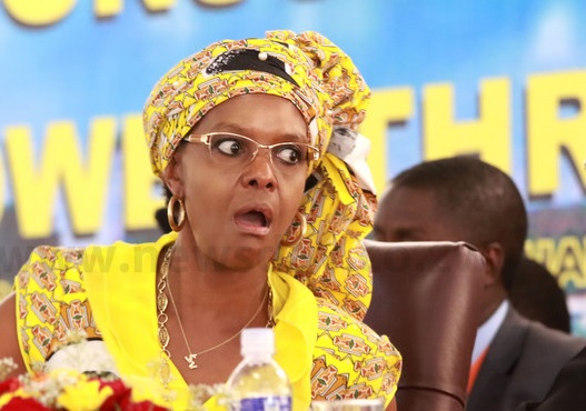 Grace Mugabe loses State security