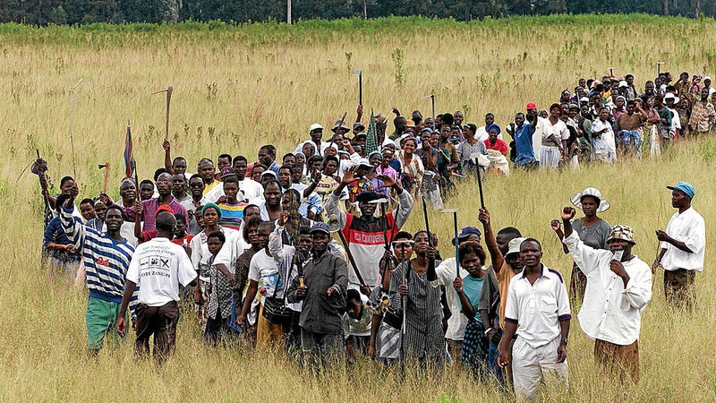 Zanu-PF farm invaders resist eviction