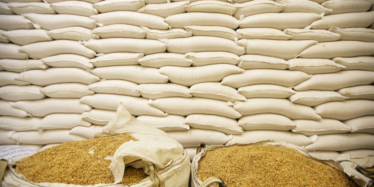 Maize deliveries hit 450,000 tonnes