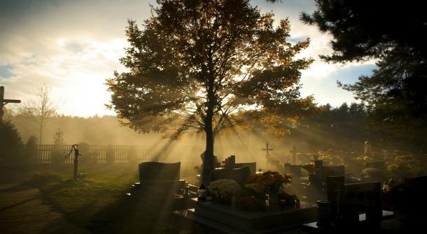 Funeral companies gross premiums up by 46%