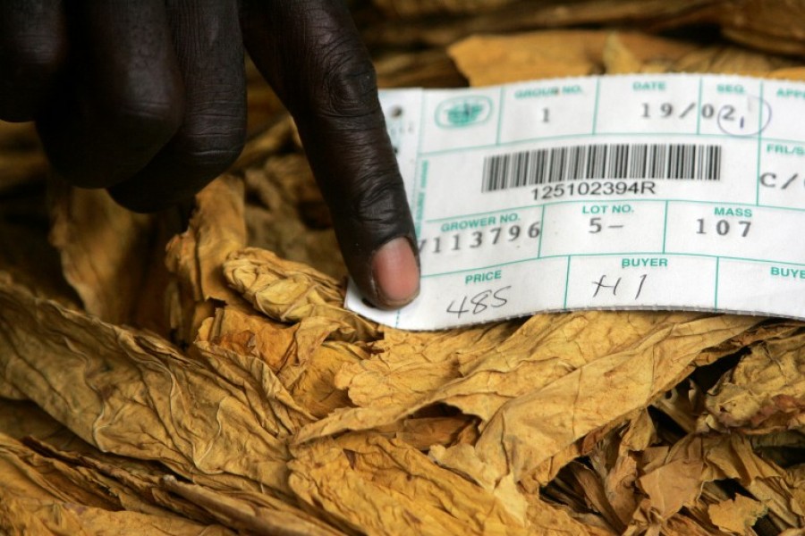 Slow processing of payments irks tobacco farmers