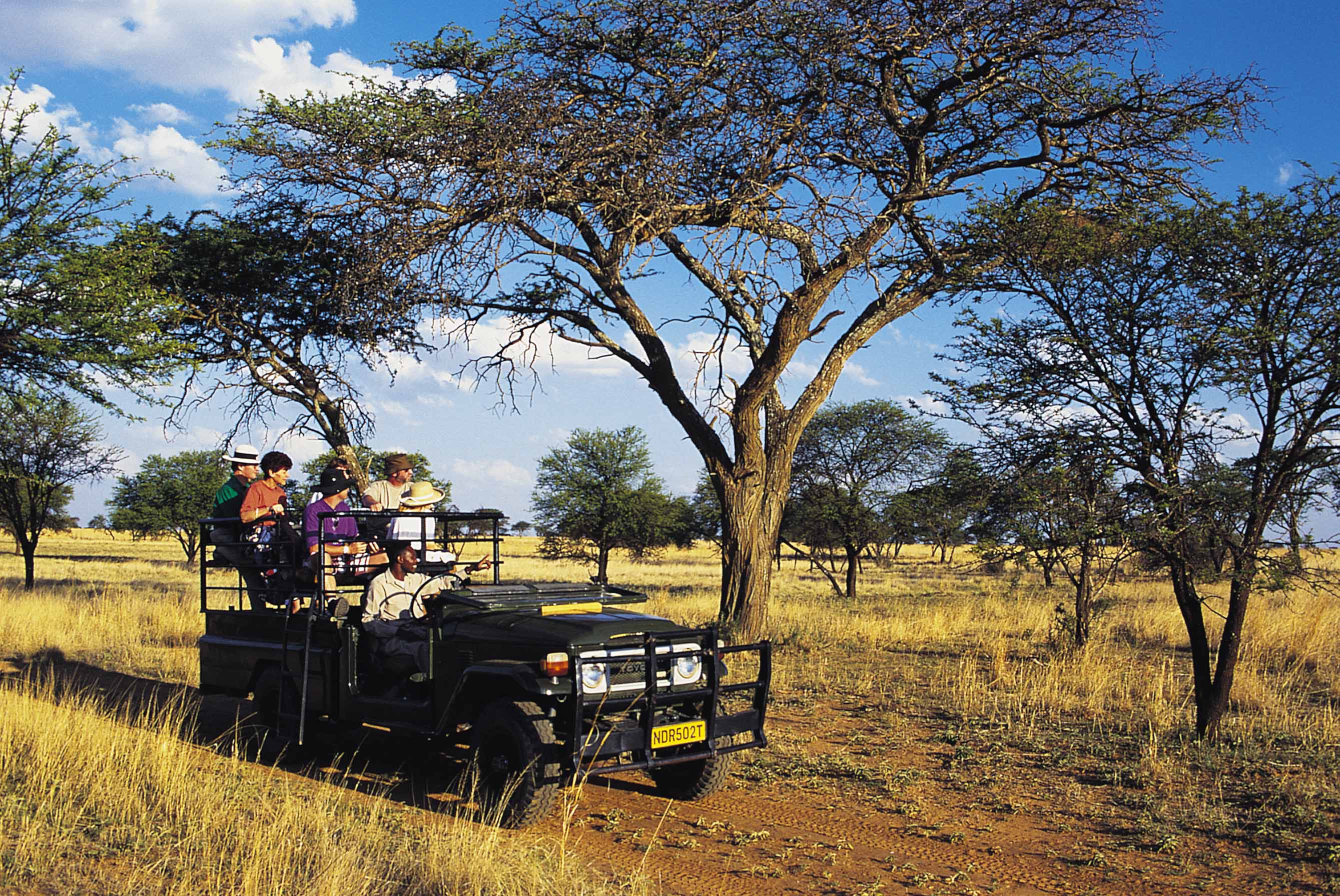 Zimbabweans top SA tourist arrivals