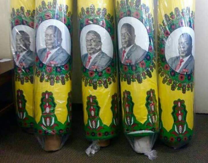 Zanu-PF members told not to abuse campaign regalia